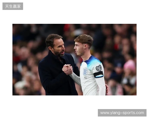 图赫尔谈10号位:一阶段考察帕尔默&福登;二阶段贝林&罗杰斯